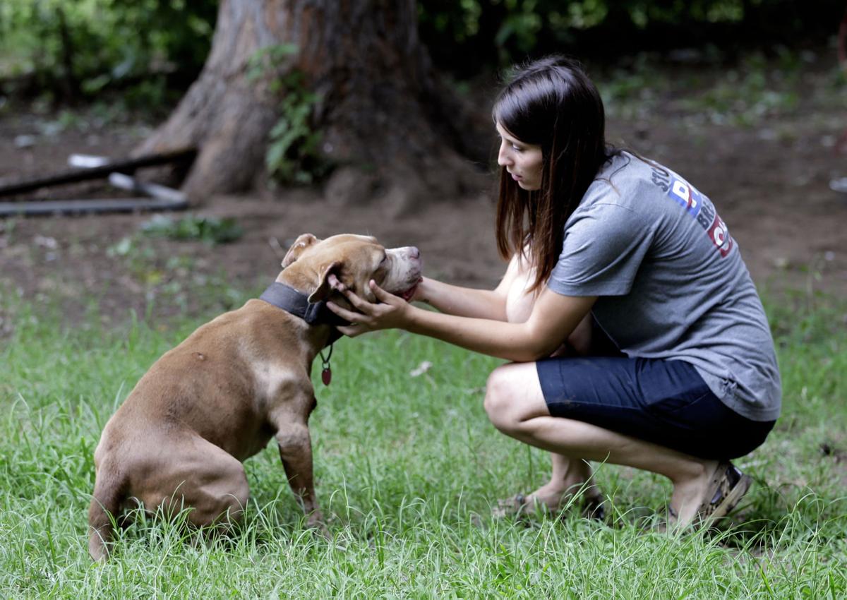 John Klein Animal Aid Volunteers Help Thousands Of Abused Dogs