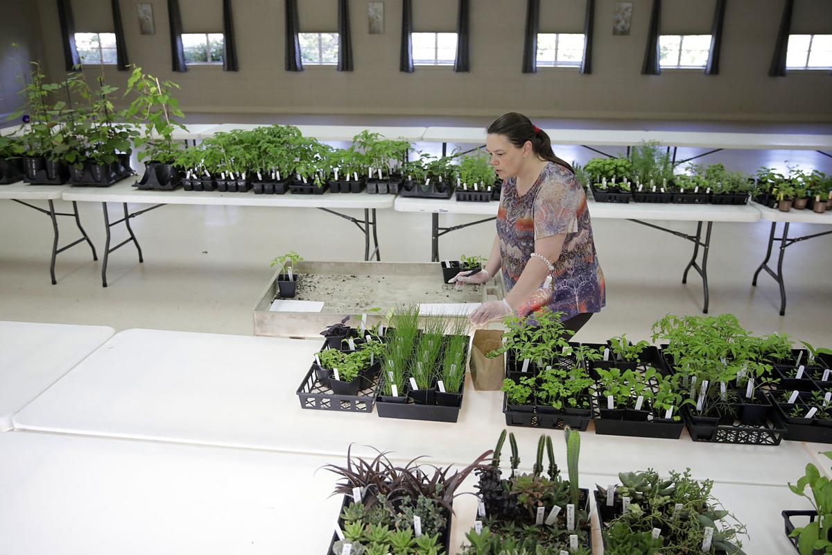 Local Greenhouses Using Web Orders Curbside Pickup To Keep Gardeners Supplied During Virus Threat Local News Tulsaworld Com