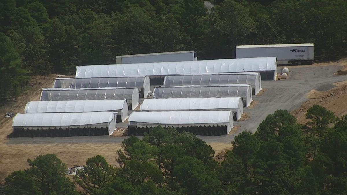 grow houses (copy)
