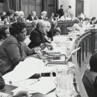 Ginnie Graham: Whose interests are being served by elected officials?