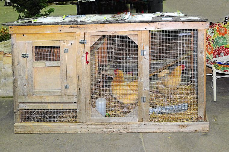Master Gardener Urban chicken coops offer several benefits