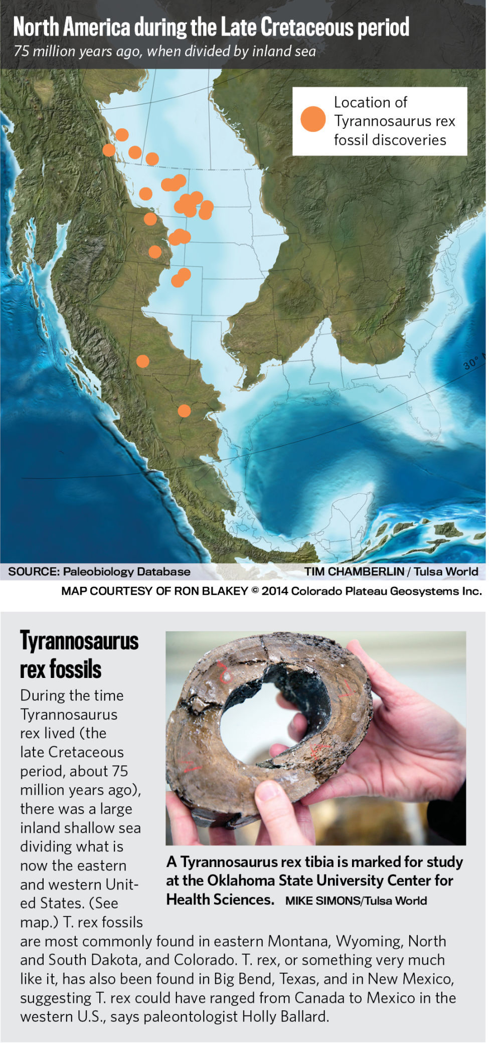 Fossil locator online