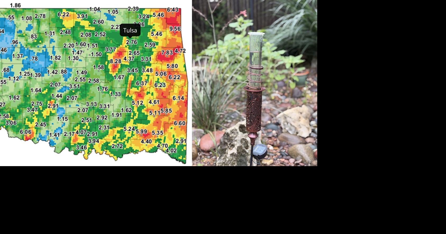 Master Gardener: From soggy soil to root rot, excess rain creates headaches