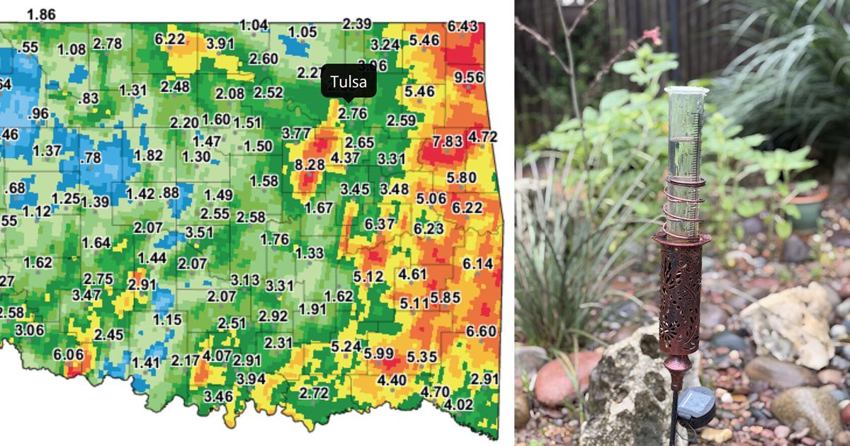 Master Gardener: From soggy soil to root rot, excess rain creates headaches