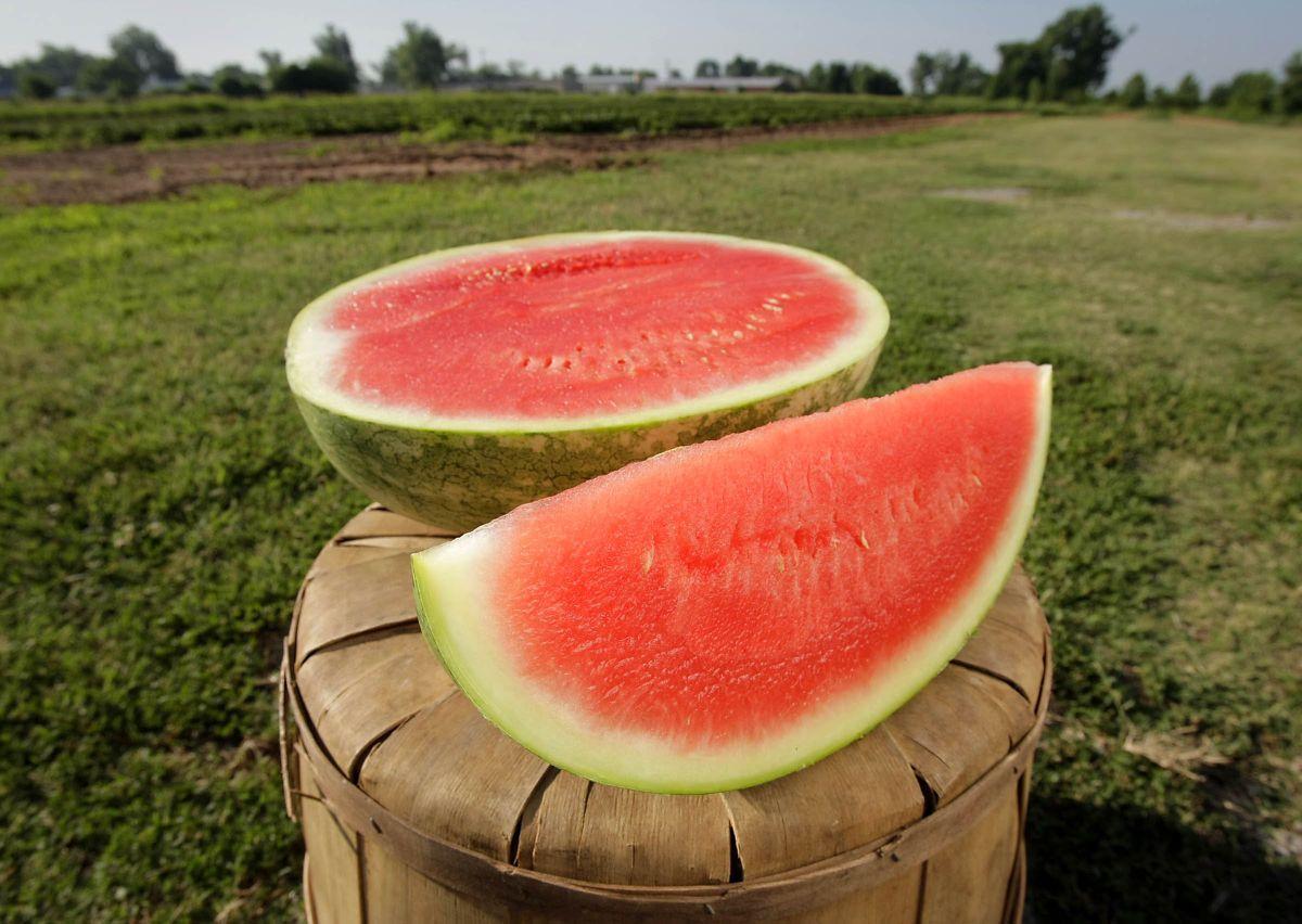 Photo gallery Do you know Oklahoma's state symbols? Lifestyles