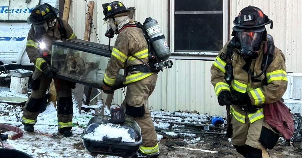 Firefighters find venomous snakes at Sand Springs house fire