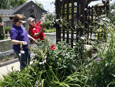 Linnaeus Teaching Gardens Hosts Volunteer Orientation Home