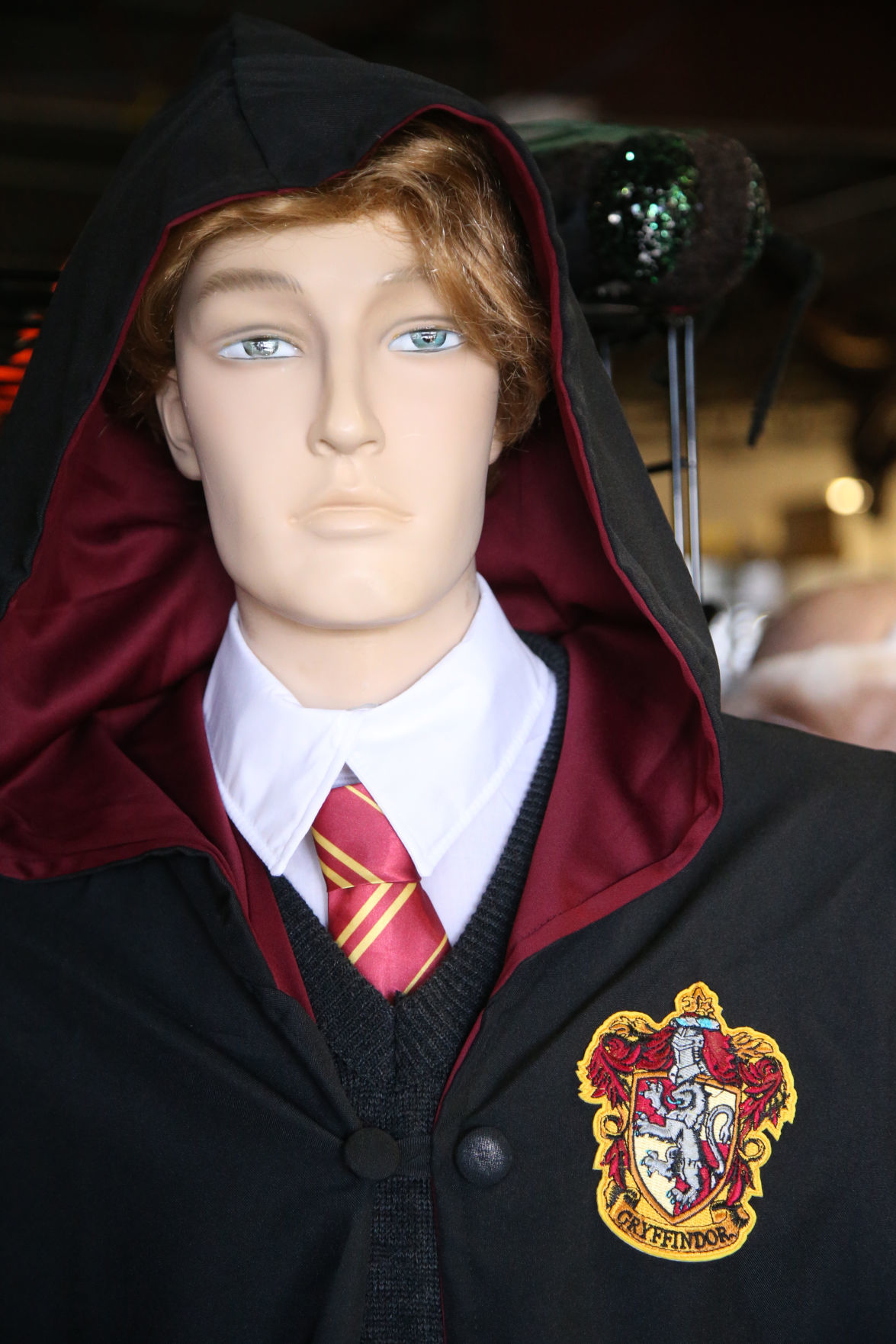costumes for harryween