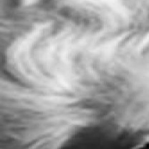 Joan Kirkpatrick Archive Tulsaworld Com Davy kirkpatrick is an american astronomer at the infrared processing and analysis center at the california institute of technology in pasadena, california. joan kirkpatrick archive tulsaworld com