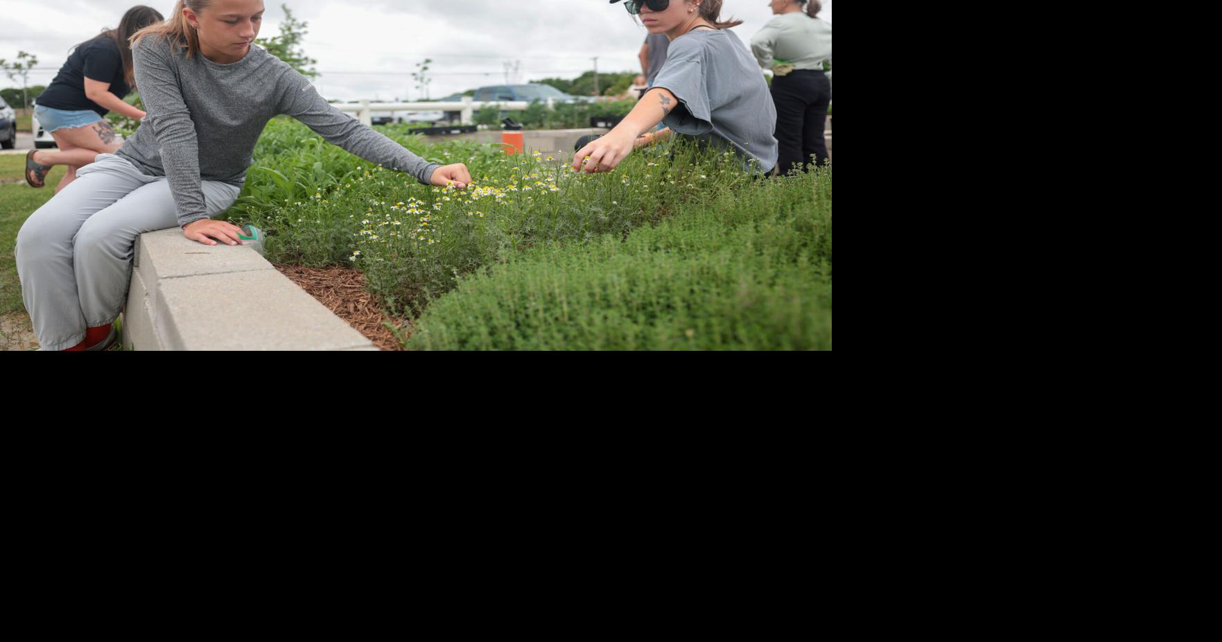 Taylor Hanson's Food on the Move hosts volunteer day, brings community together with garden