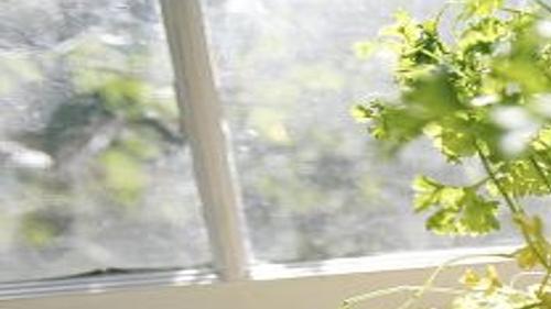 Jenks Herb And Plant Festival 2022