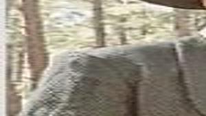 On Tv Lose The Rabbit Ears Archive Tulsaworld Com