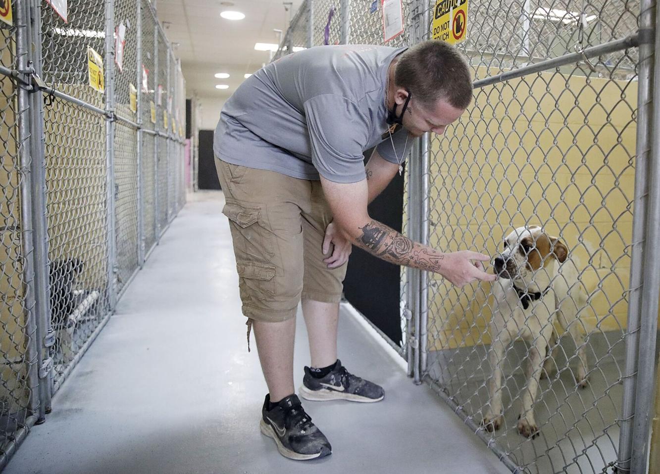 New Tulsa Animal Welfare manager will bring leadership experience
