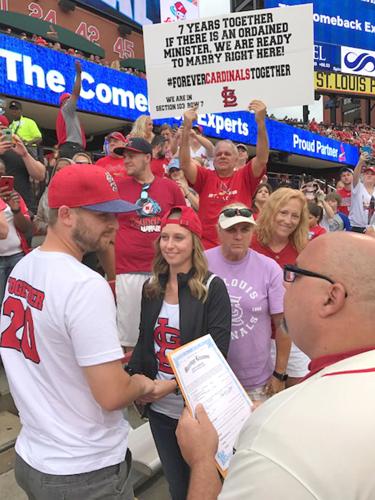 Window Nation Proud Partner of The St Louis Cardinals