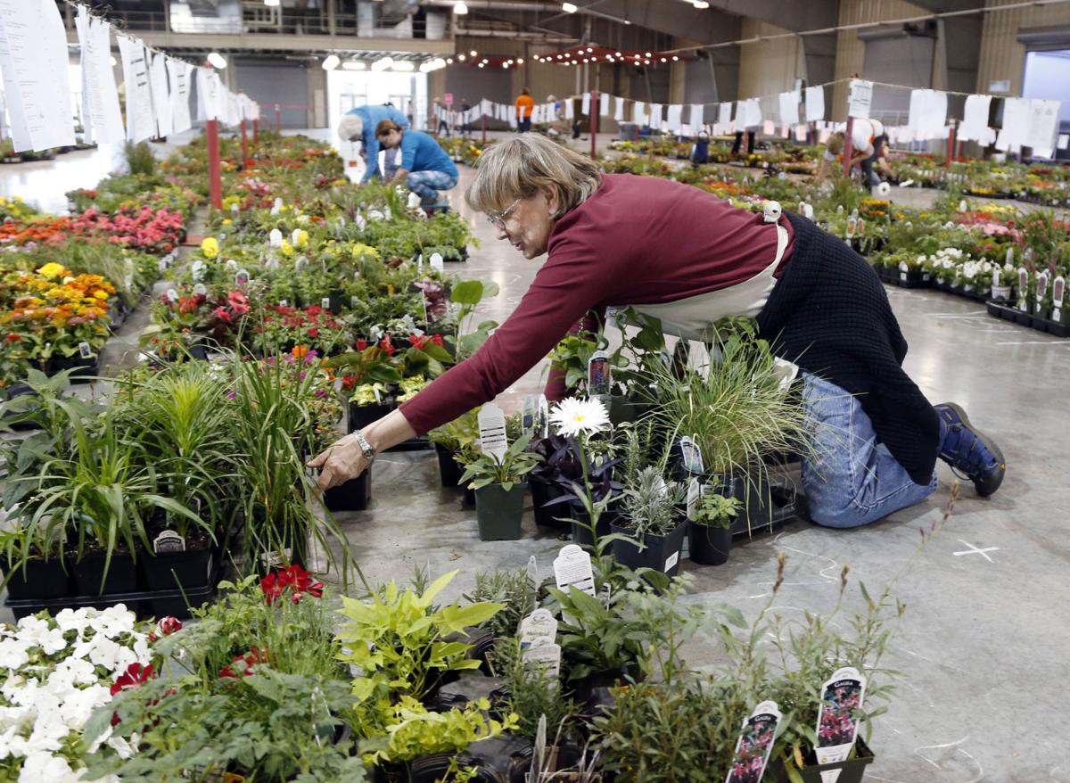 John Klein Tulsa Master Gardeners Plant Sale Is This Thursday
