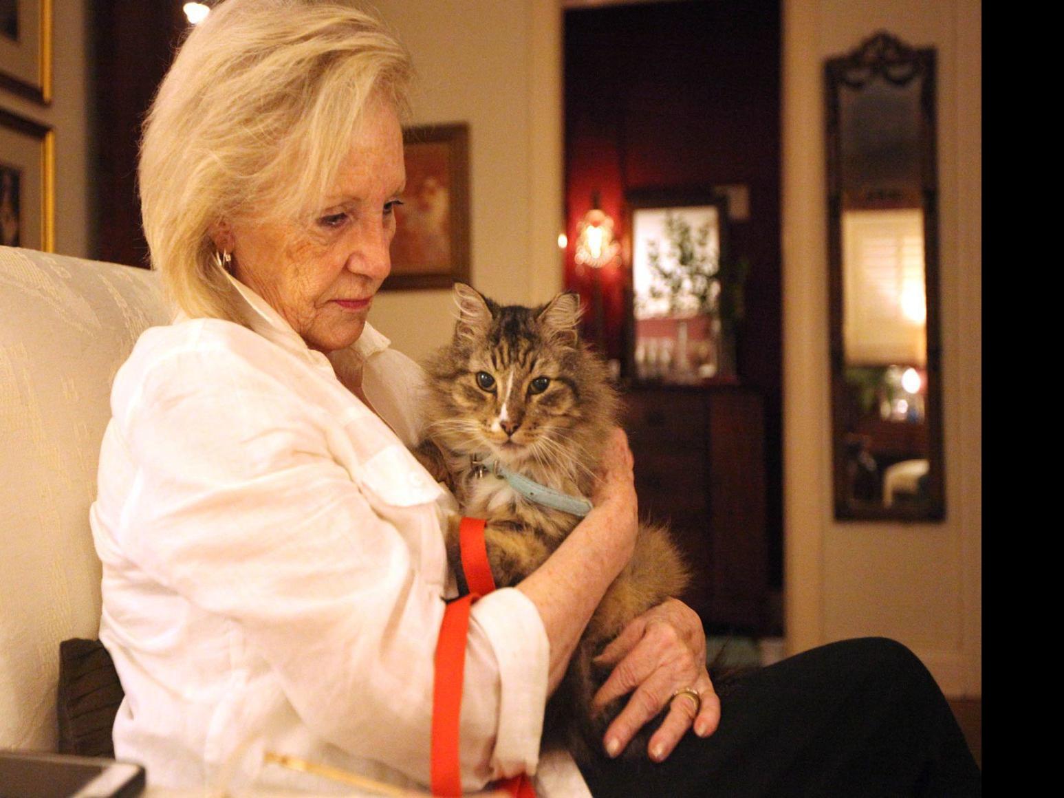 Cat Owner 81 Patrols For Predators After Coyote Killed Her 20