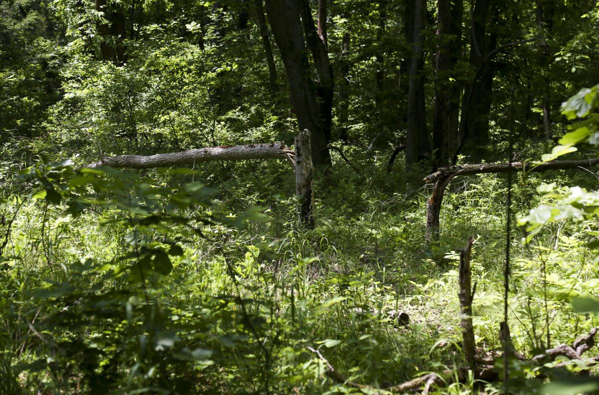 Photo gallery What Camp Scott near Locust Grove looks like today