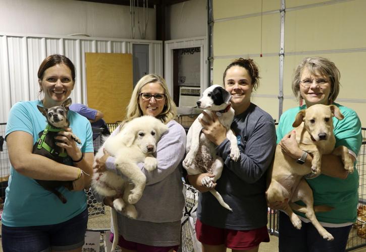Finding a forever home: Skiatook Paws and Claws rescues, adopts animals in  need