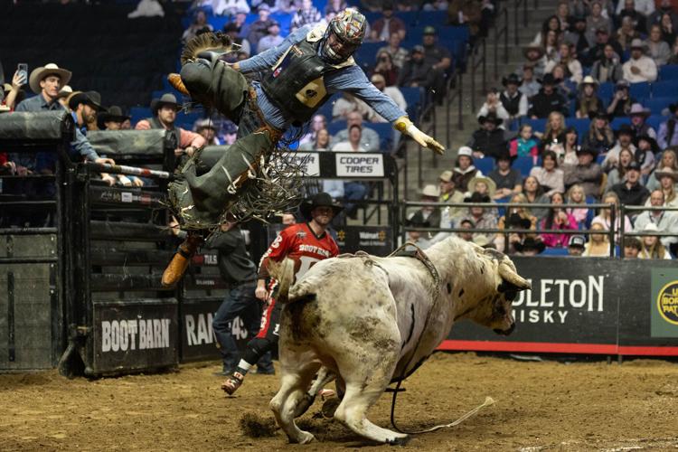 Pbr Riders Numbers PBR by the numbers: Bull riding event returns to Tulsa arena