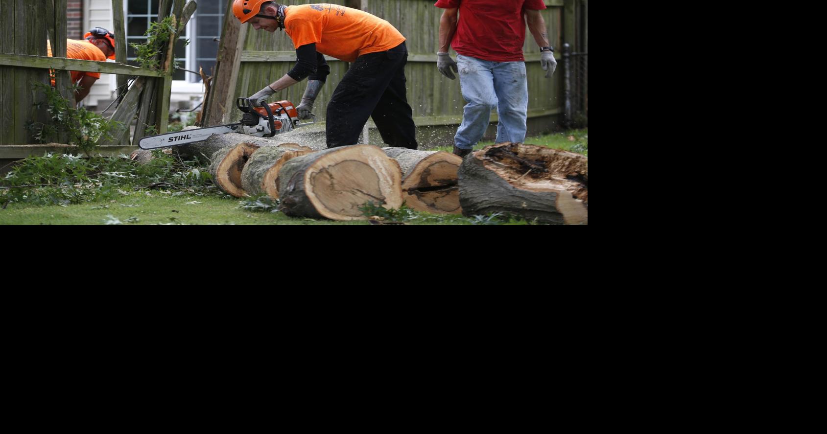Cleanup continues after weekend severe storms down large trees, limbs