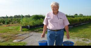The berry end: Owners of Finke's Berry Farm retiring after this