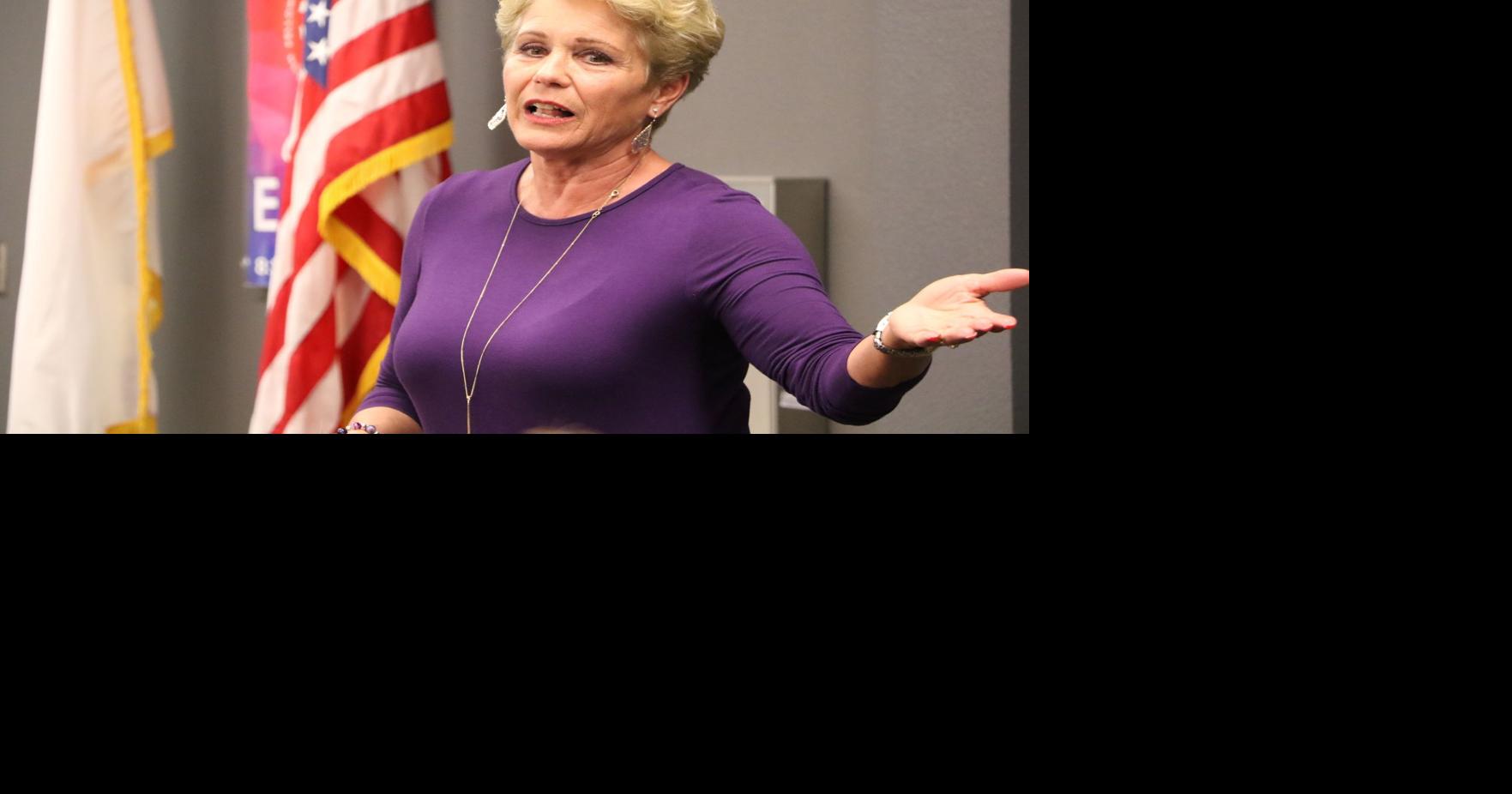 Property taxes where do they go? County assessor explains