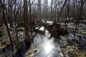 John Klein: State parks spur growth in winter visitation with unique events, lodging specials