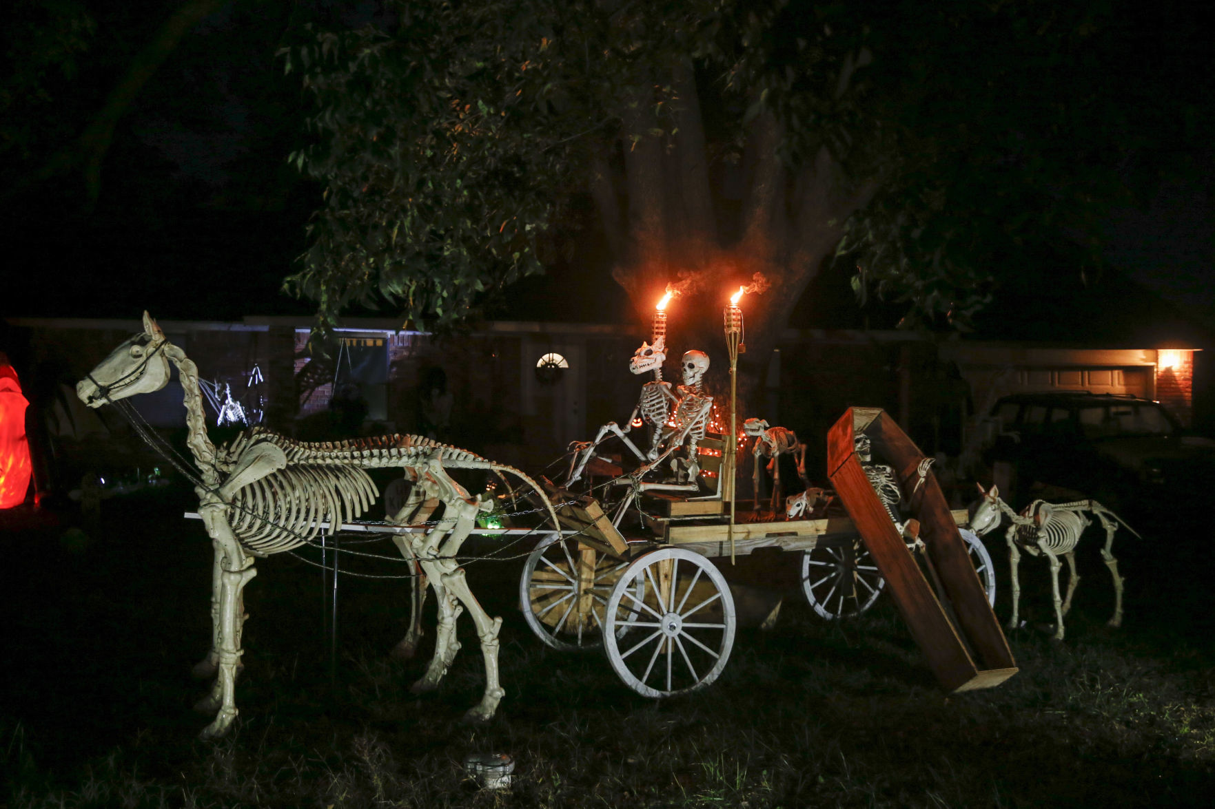 Halloween Horse Skeleton - Best Decorations