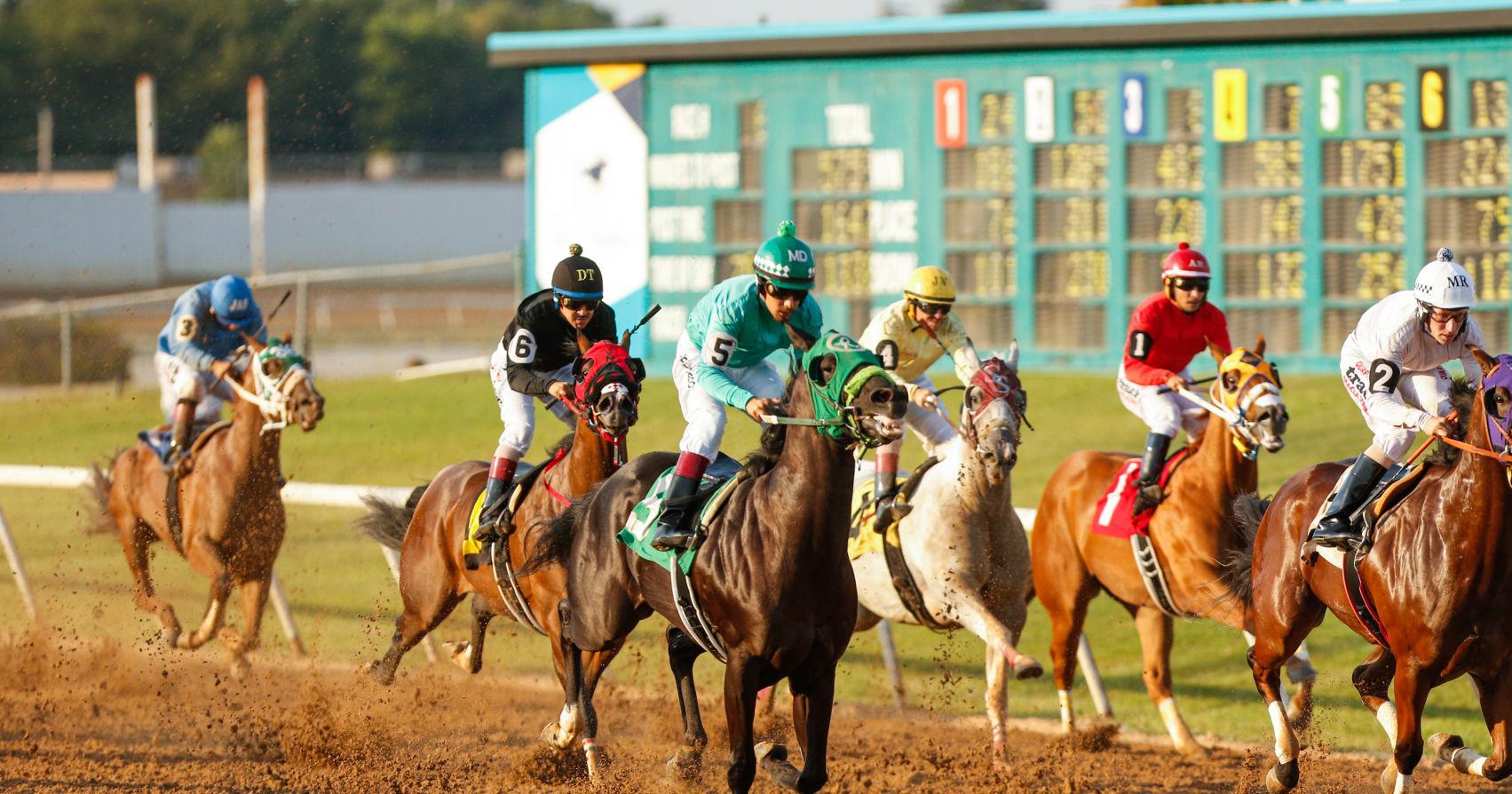 Things to do this weekend: Huckleberry festival, Fleet Foxes and horse racing - Vimarsana News