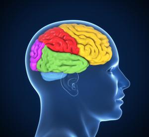 Brain resetting treatment shows promise with veterans experiencing PTSD