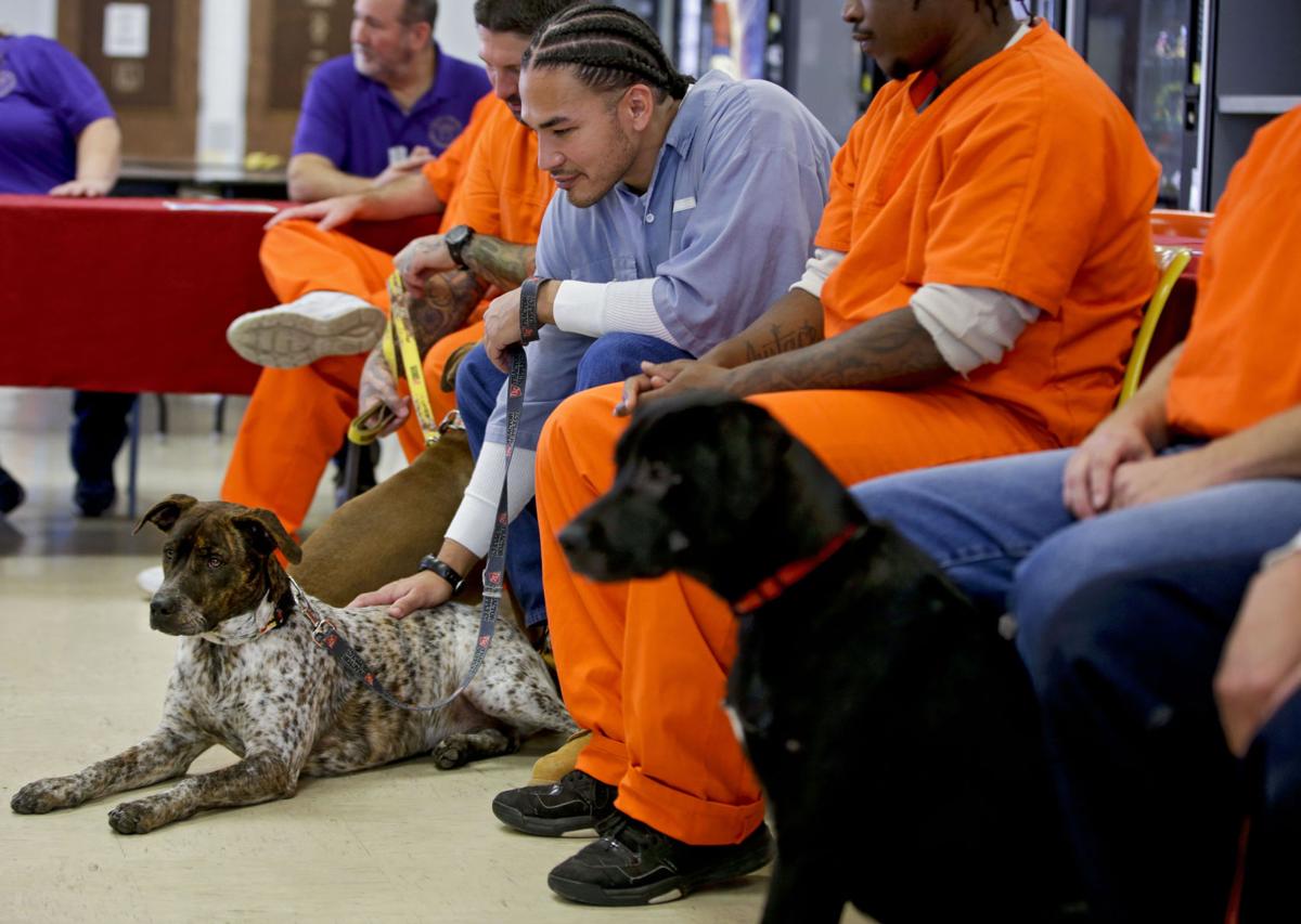 Prisoners help dogs on their way to new freedom, new lives