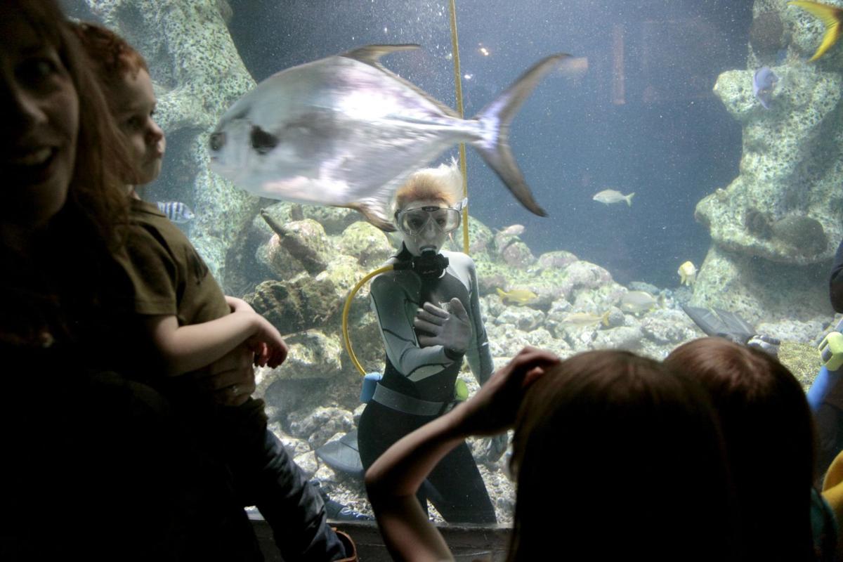 Photo Gallery The Oklahoma Aquarium through the years Gallery
