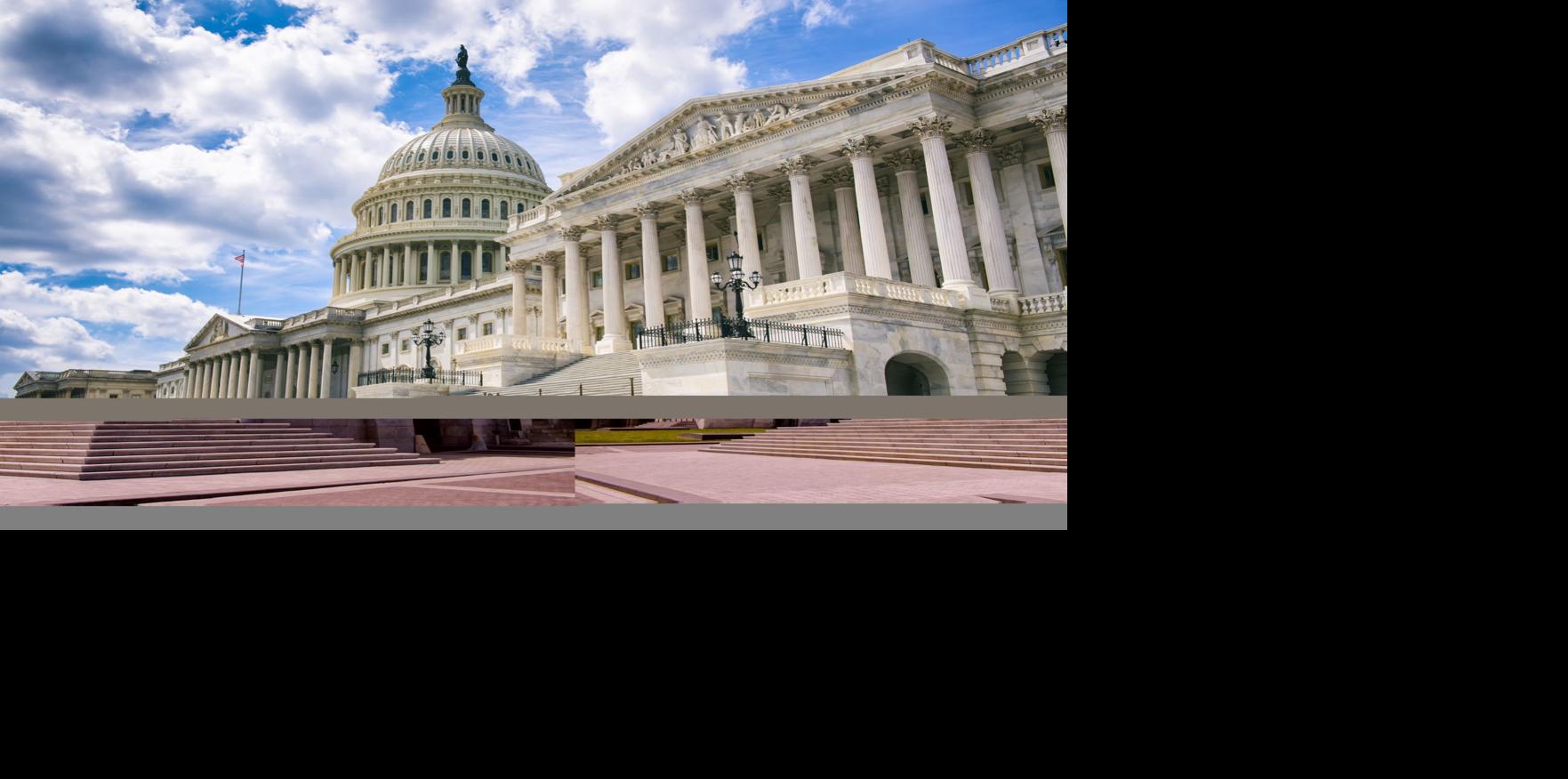 Commentary: I'm a conservative. Here's why I support the ...