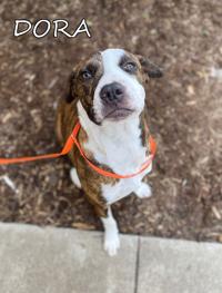 Dora