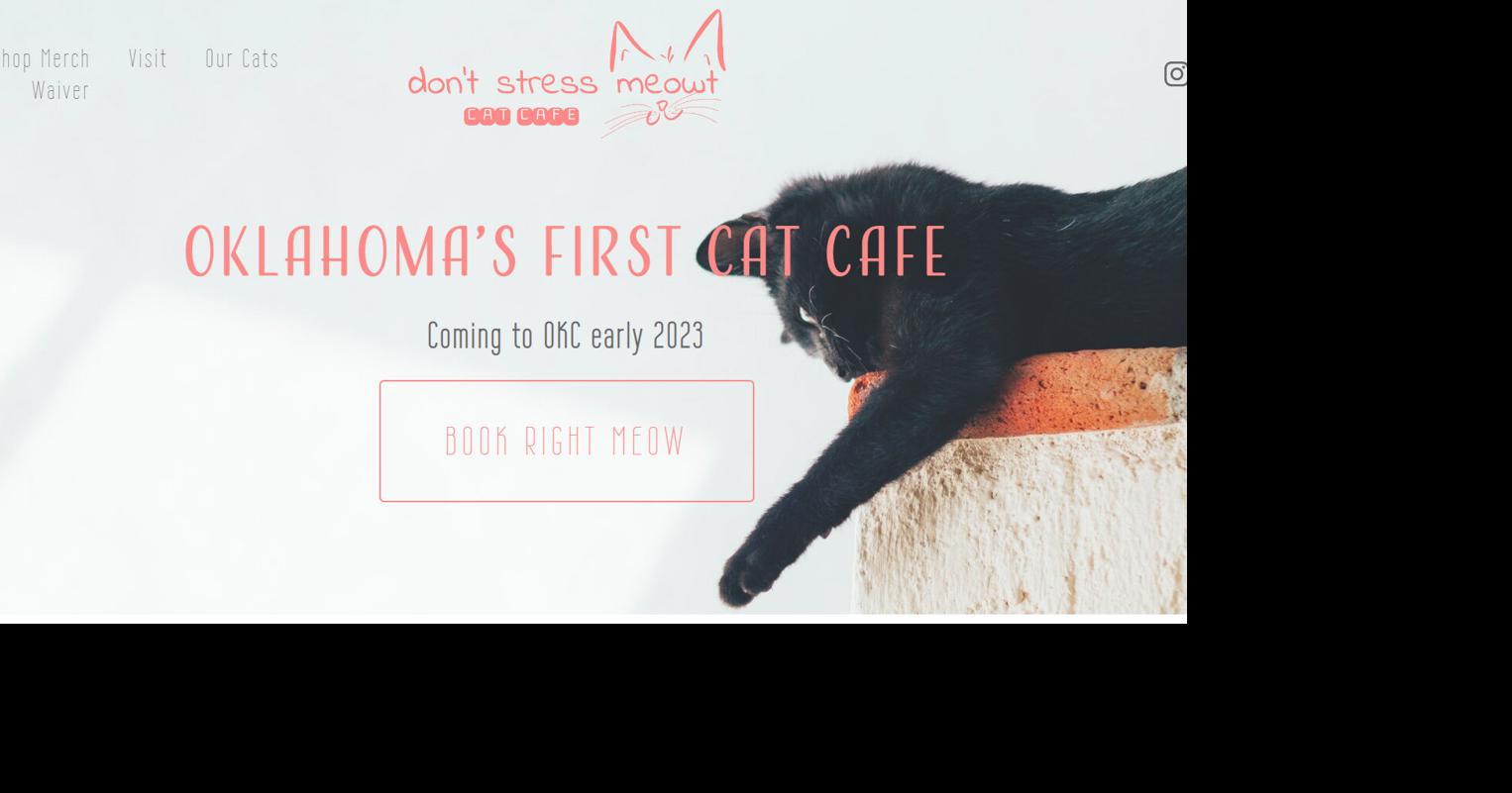 Oklahoma’s first 'cat cafe' opening in May