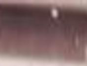 Review Ratatouille Archive Tulsaworld Com