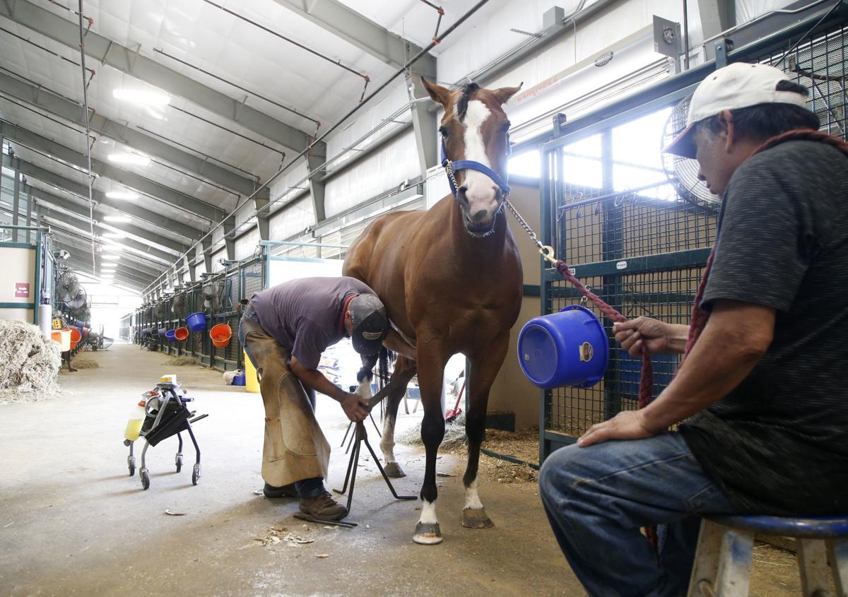 Fairgrounds' new barn gives new life to horse shows, live racing meet