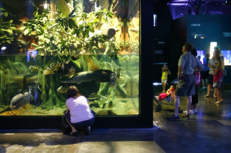 Oklahoma Aquarium gets dedicated funding source, Jenks officials say