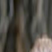 39 Dinner For Schmucks A Tasty Delight Movies Tulsaworld Com