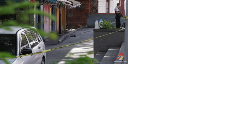 MURDER IN THE CITY - Vimarsana News
