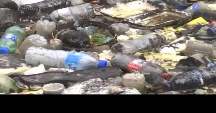 lomas gang vs sangra