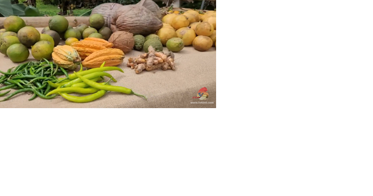 BRAZIL VILLAGE AGRO PROCESSING FACILITY - Vimarsana News