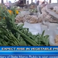 EXPECT INCREASE IN VEGETABLE PRICES Sep 9, 2026 Sep 9, 2026
