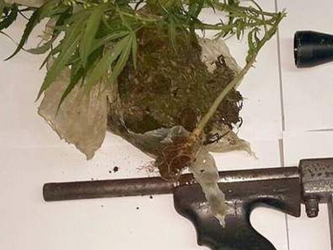 Guns Drugs Seized In Morvant Local News Tv6tnt Com