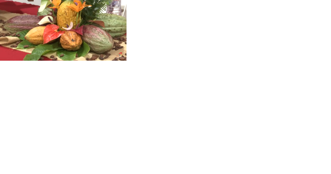 COCOA DIVERSITY - Vimarsana News
