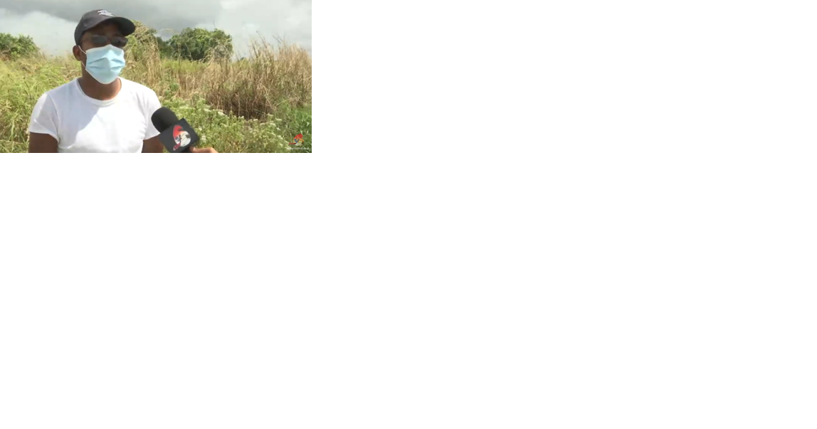 JERNINGHAM FARMERS NEED CHANNELS CLEANED - Vimarsana News