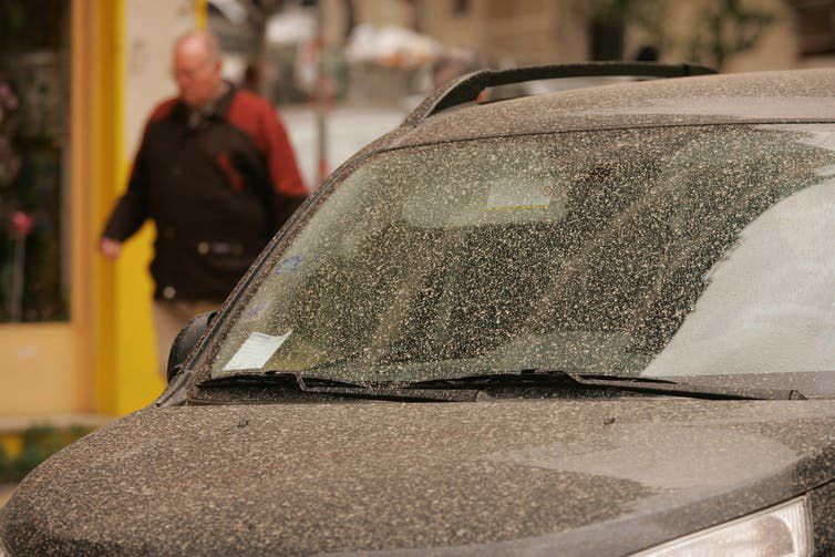 Advertise On My Car >> Saharan Dust: What You Need To Know | Local News | tv6tnt.com Advertise On My Car >> Saharan Dust: What You Need To Know | Local News | tv6tnt.com