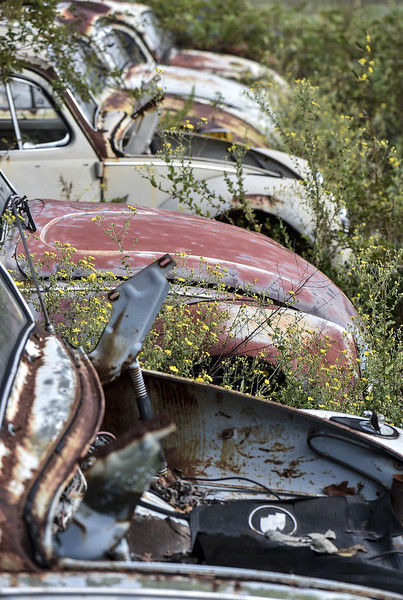 Don S Bug Barn Focuses On Vintage Vws Hippie Rides Local News