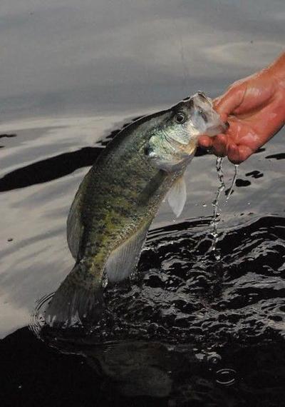 Fish S Habits Provide The Perfect Catch In Winter Texas All Outdoors Tylerpaper Com