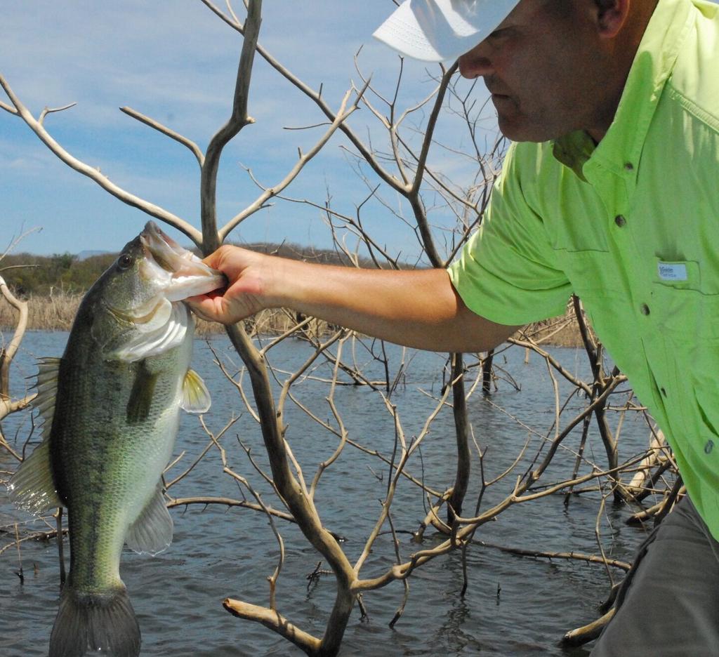 Hot Fun In The Summertime: Bass Fishing Heats Up As Texas